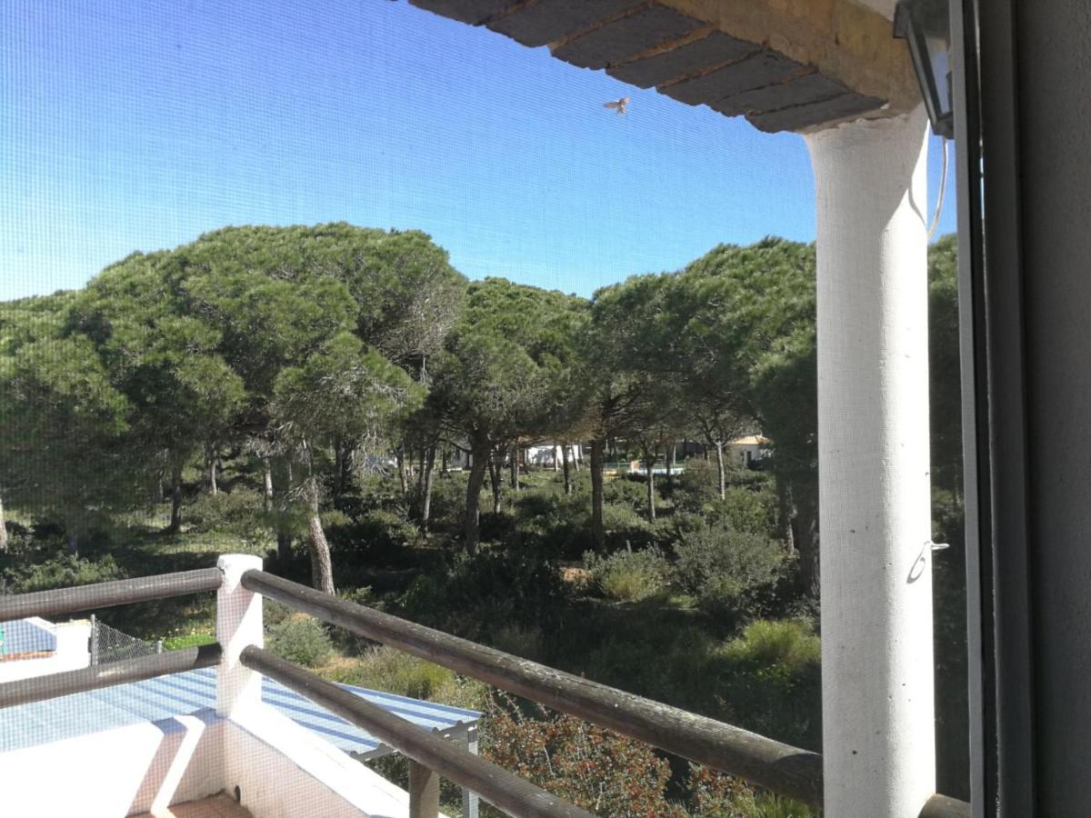 Villa Conil Conil De La Frontera Εξωτερικό φωτογραφία